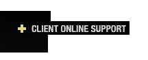 Online client support